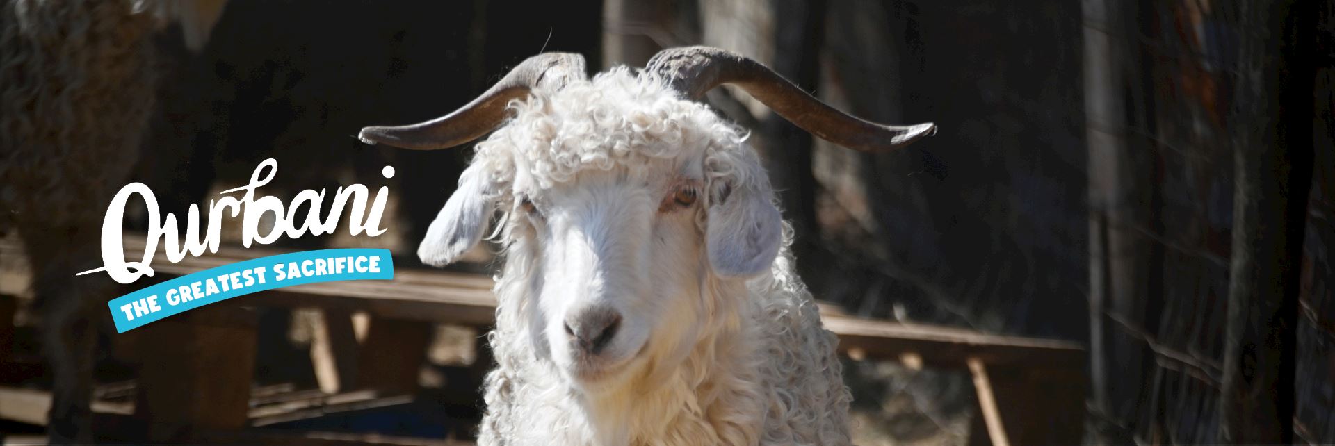 Qurbani 2026
