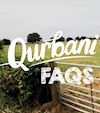 Qurbani FAQs