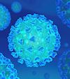 Coronavirus: What It Is And How You Can Protect Yourself